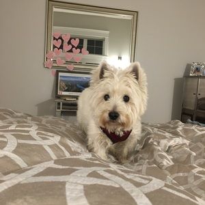 Meet your Posher, Lauri